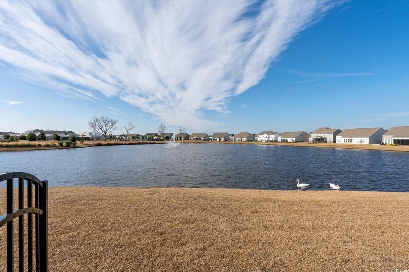 Single-level living in Village Oaks in Carolina Forest with the - photo 20