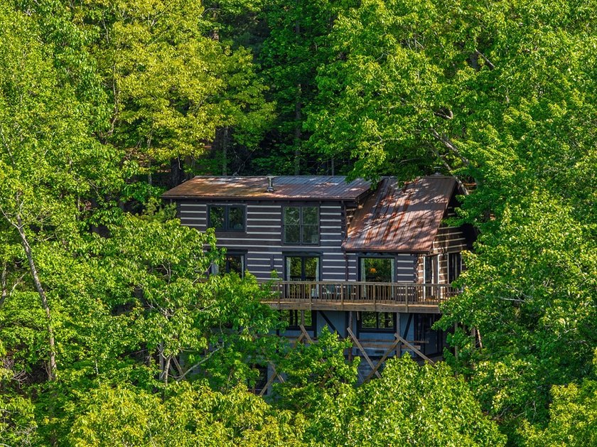Nestled high in the North GA mountains, this extraordinary log - photo 40