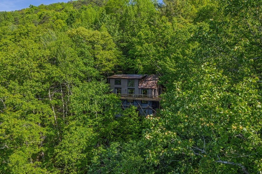 Nestled high in the North GA mountains, this extraordinary log - photo 41