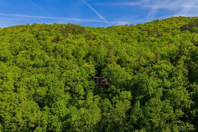 Nestled high in the North GA mountains, this extraordinary log - photo 42