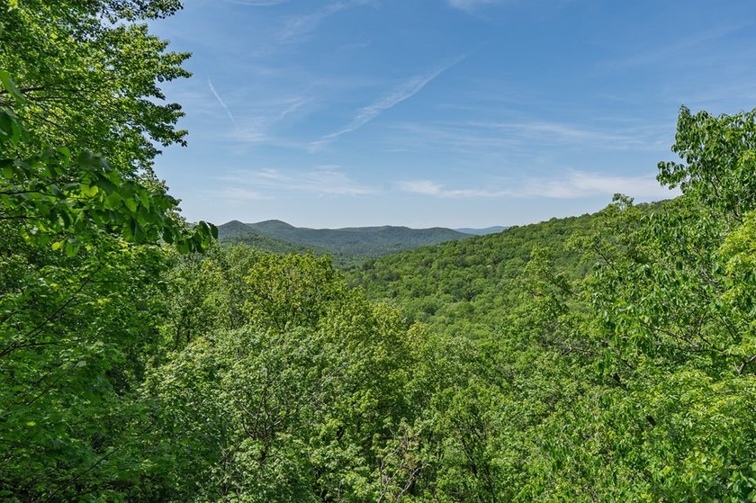 Nestled high in the North GA mountains, this extraordinary log - photo 44