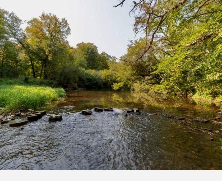 Enjoy this beautiful ranch style home nestled on 34.46 acres - photo 43