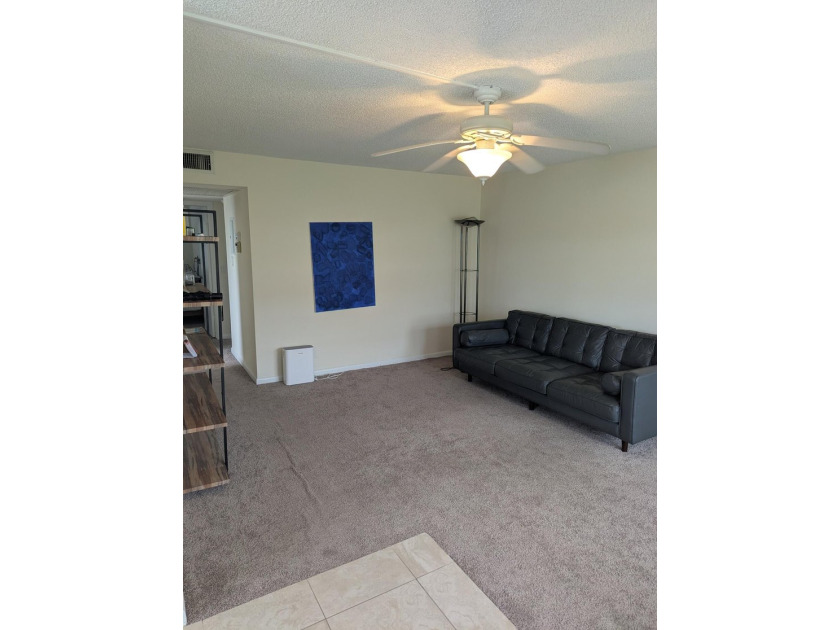 Bright ground-floor corner unit, partially furnished, featuring - photo 29