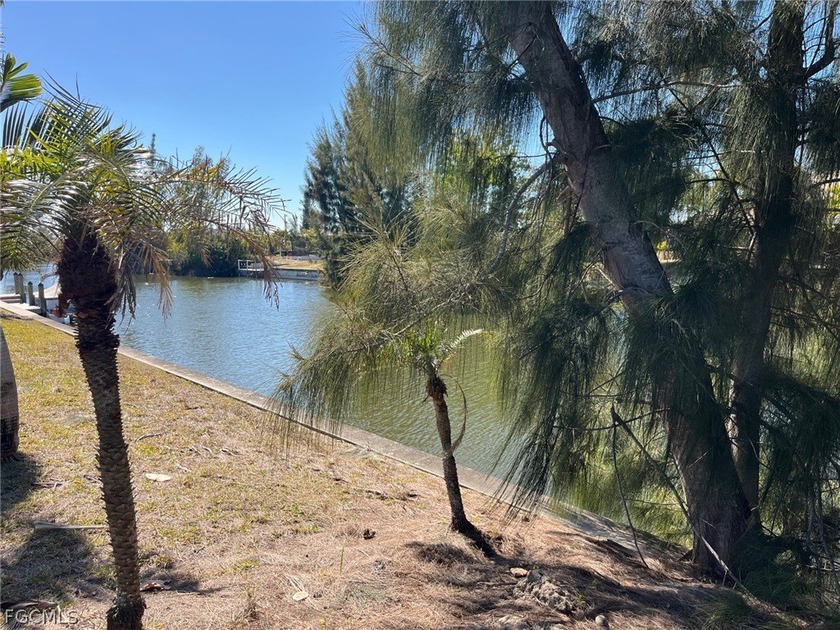 *** ALL ASSESSMENTS PAID !!! *** - BEAUTIFUL freshwater CANAL - photo 4