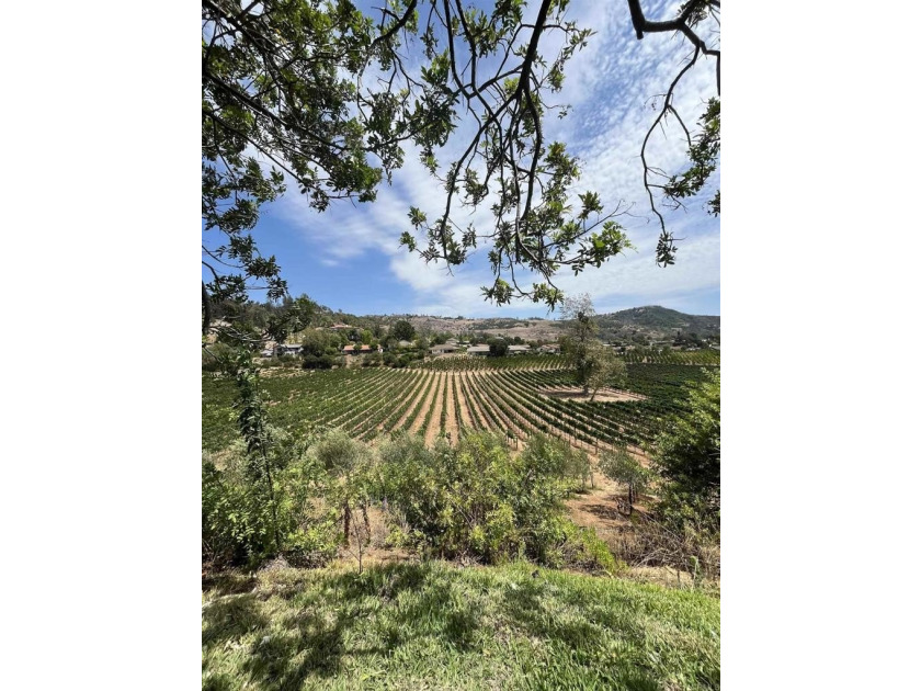 Incredible investor opportunity in Fallbrook! This 2,205 sq ft - photo 5