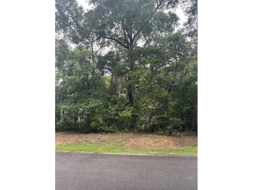 Build your dream home on this beautiful 1/4-acre homesite in the - photo 3