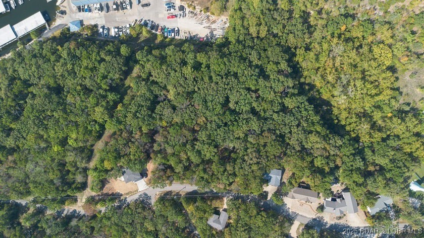 Looking for the perfect spot to build your dream home? This - photo 13