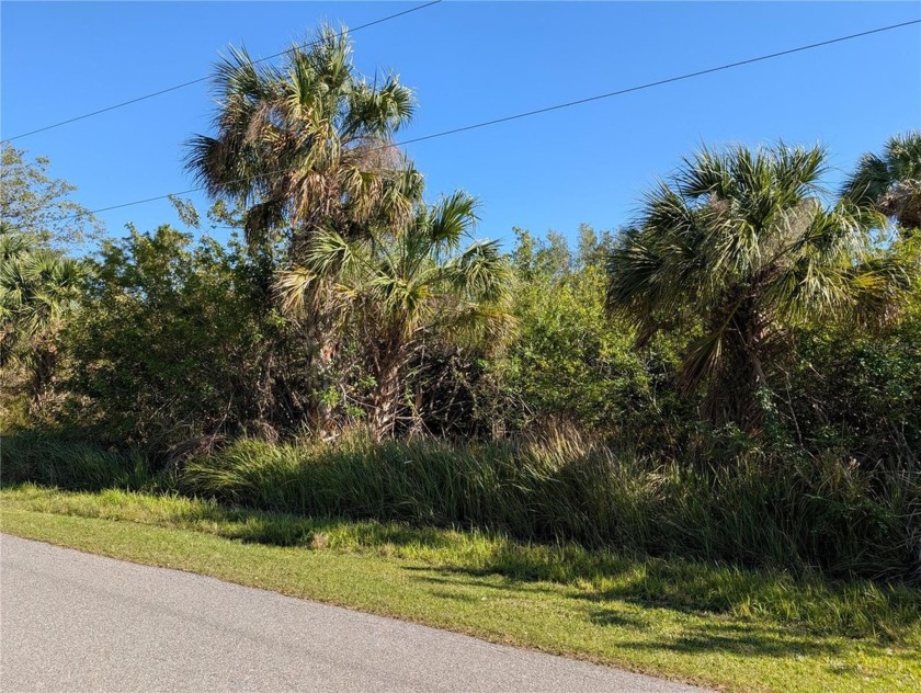 Dreaming of life by the water? This oversized 80x141 CANAL FRONT - photo 3