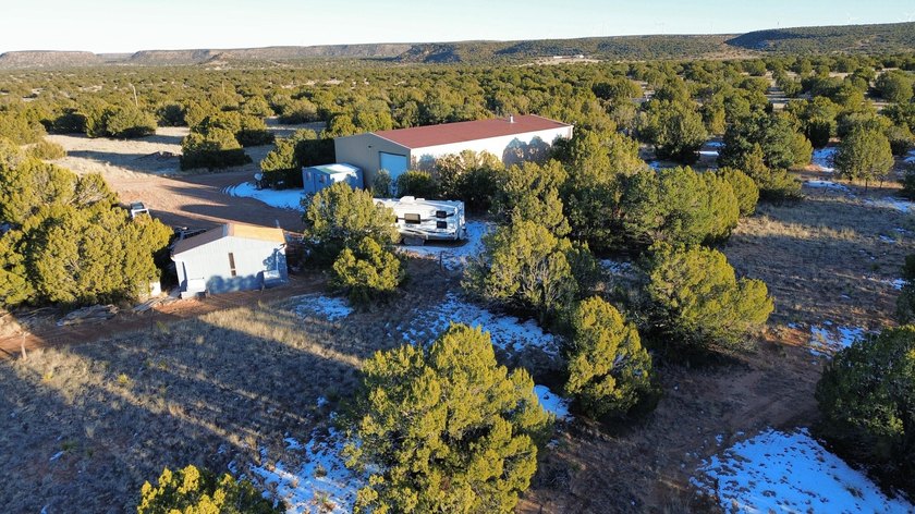 Lush 140 serene ALL FENCED acres with 2 security gate access - photo 4