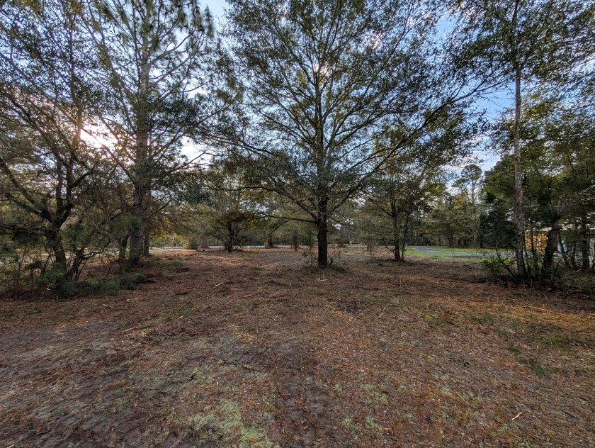 1-acre lot with gorgeous live oaks throughout in the beautiful - photo 3