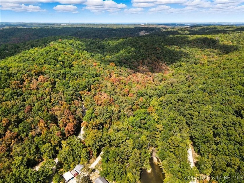 Lakefront opportunity on the 34 MM! This wooded cove location - photo 11