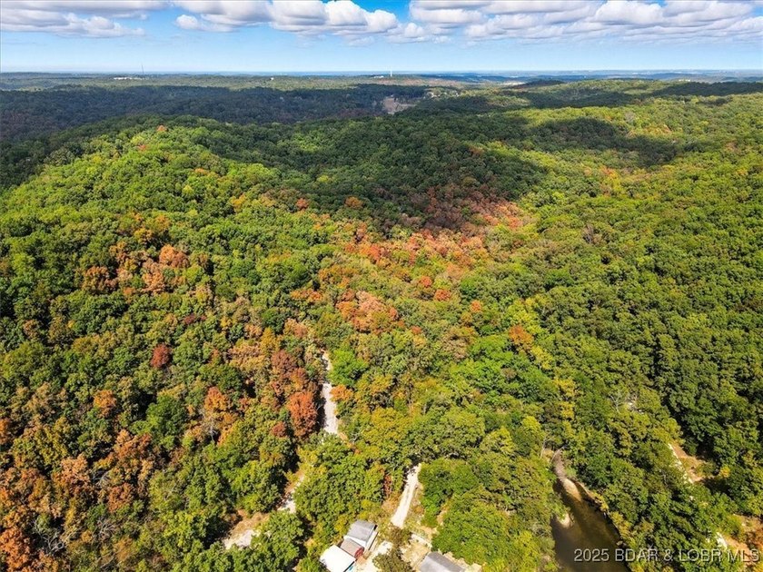 Lakefront opportunity on the 34 MM! This wooded cove location - photo 12