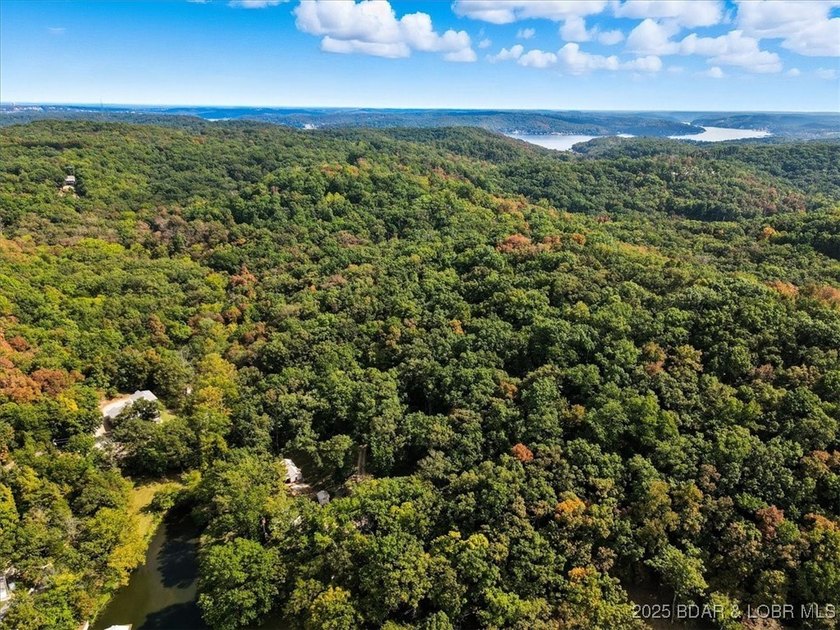Lakefront opportunity on the 34 MM! This wooded cove location - photo 16