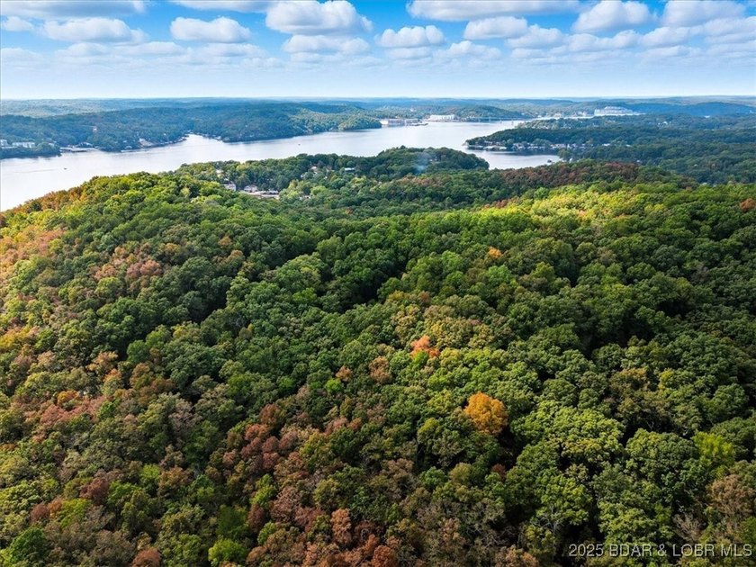 Lakefront opportunity on the 34 MM! This wooded cove location - photo 20