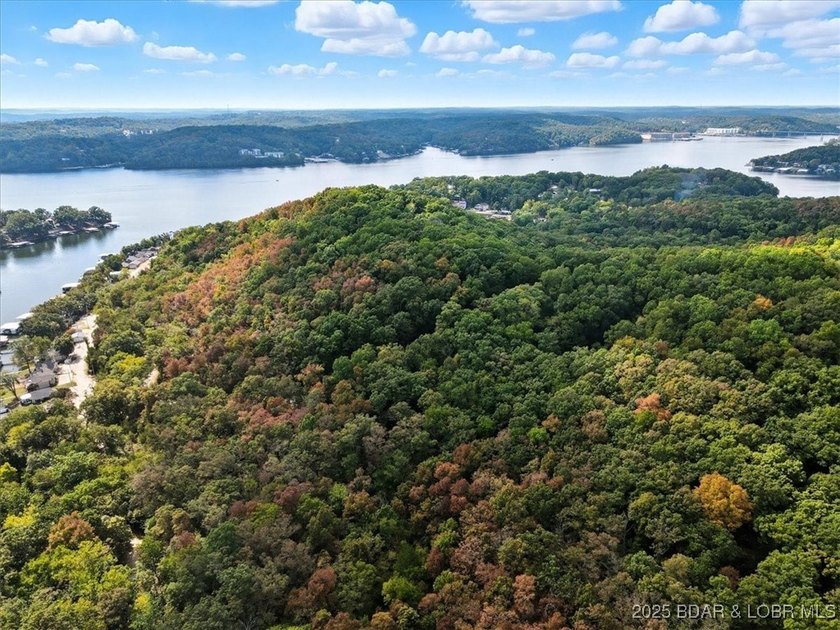 Lakefront opportunity on the 34 MM! This wooded cove location - photo 21