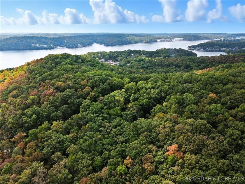 Lakefront opportunity on the 34 MM! This wooded cove location - photo 22
