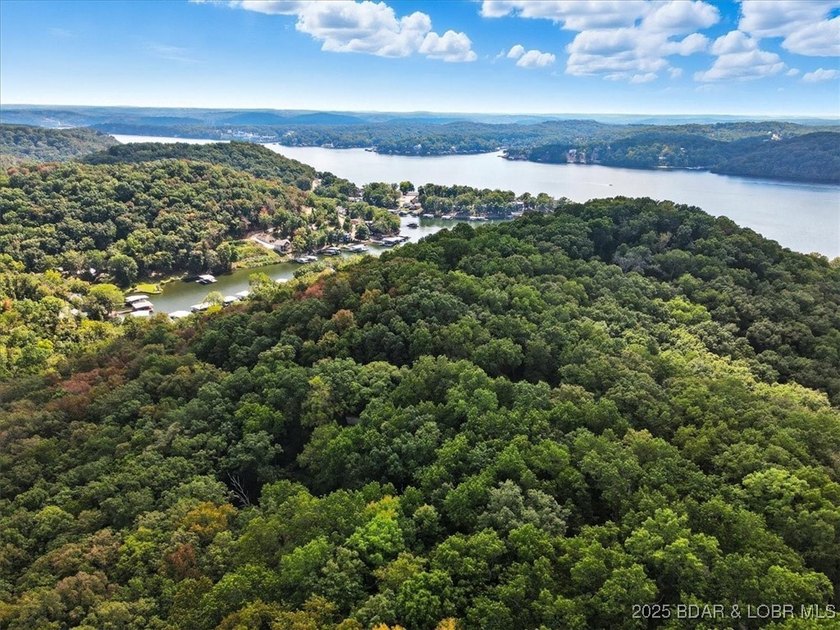 Lakefront opportunity on the 34 MM! This wooded cove location - photo 26
