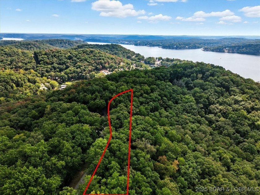 Lakefront opportunity on the 34 MM! This wooded cove location - photo 29