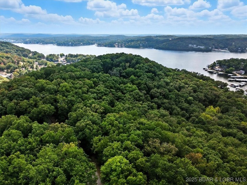 Lakefront opportunity on the 34 MM! This wooded cove location - photo 32