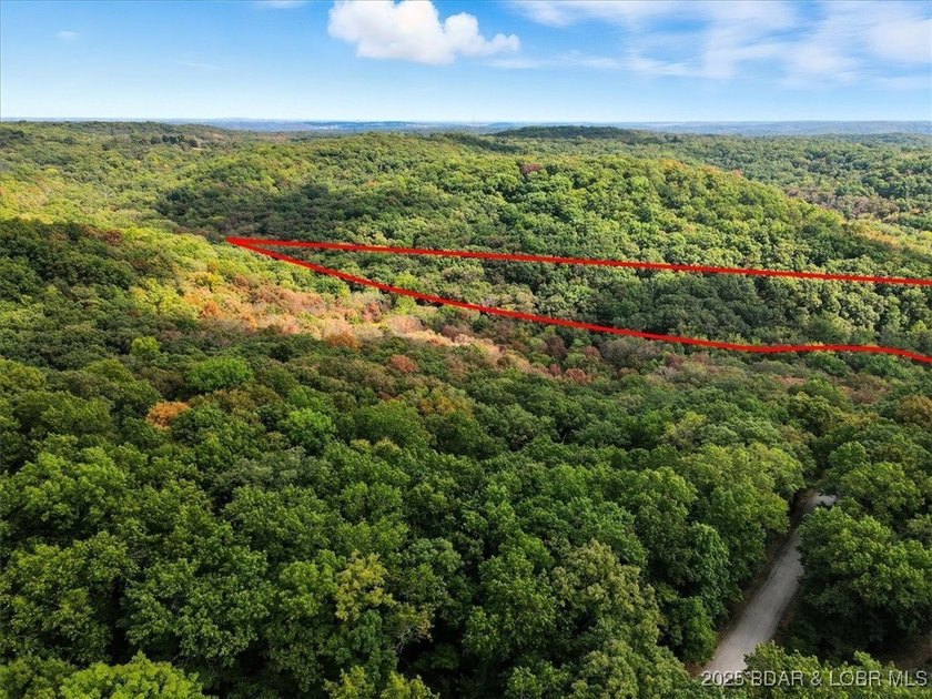 Lakefront opportunity on the 34 MM! This wooded cove location - photo 34