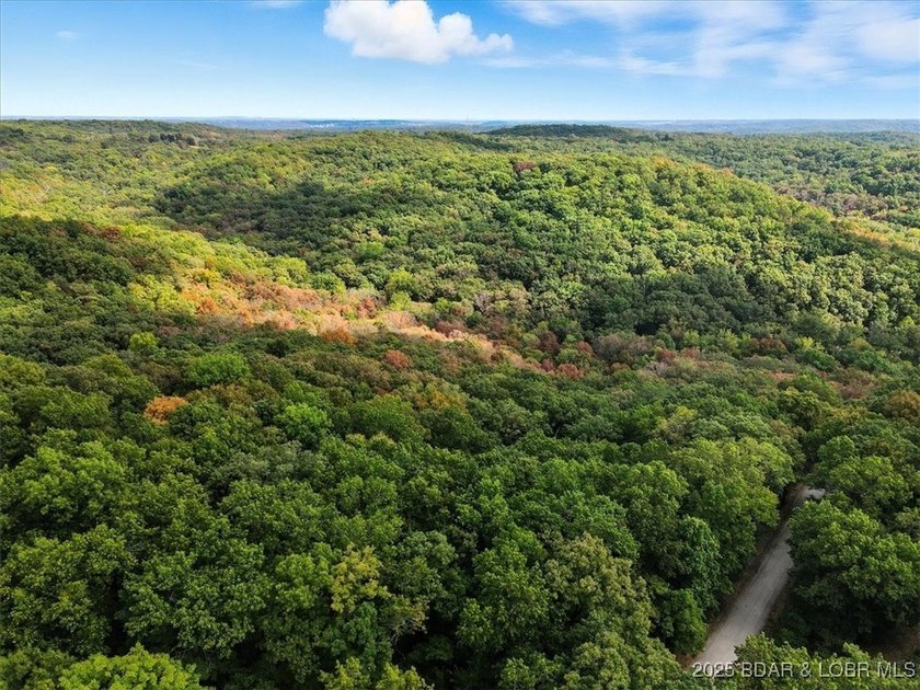 Lakefront opportunity on the 34 MM! This wooded cove location - photo 35