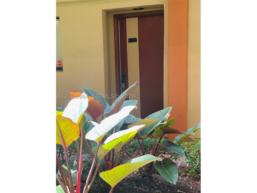 Highly sought-after Horizons West FIRST FLOOR 1 bedroom / 1.5 - photo 4