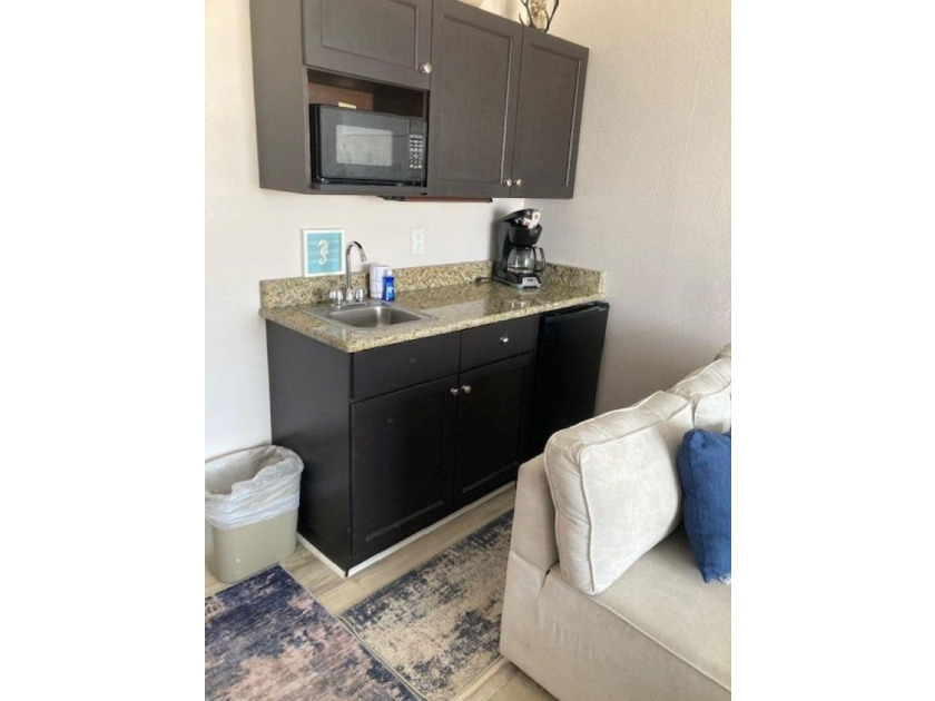 Carpet and wood floors; king bed and large sofa. Updated unit - photo 8