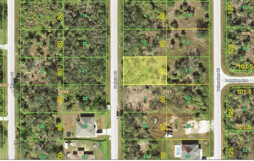 80 X 125 residential lot located in a quiet neighborhood in Port - photo 2