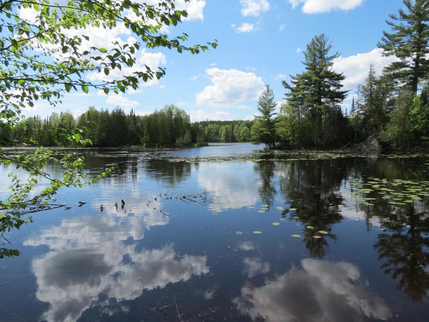 Beautiful wooded lot is waiting for you to build your own dream - photo 6