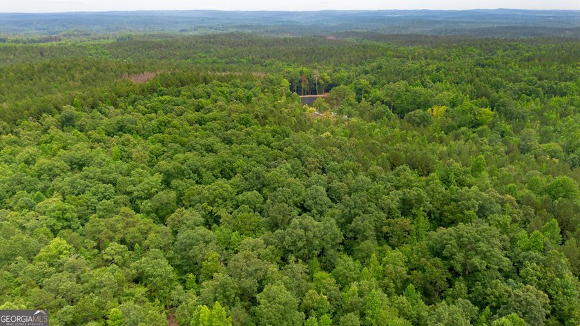 Getting lost in the woods sounds a lot better when you own all - photo 11