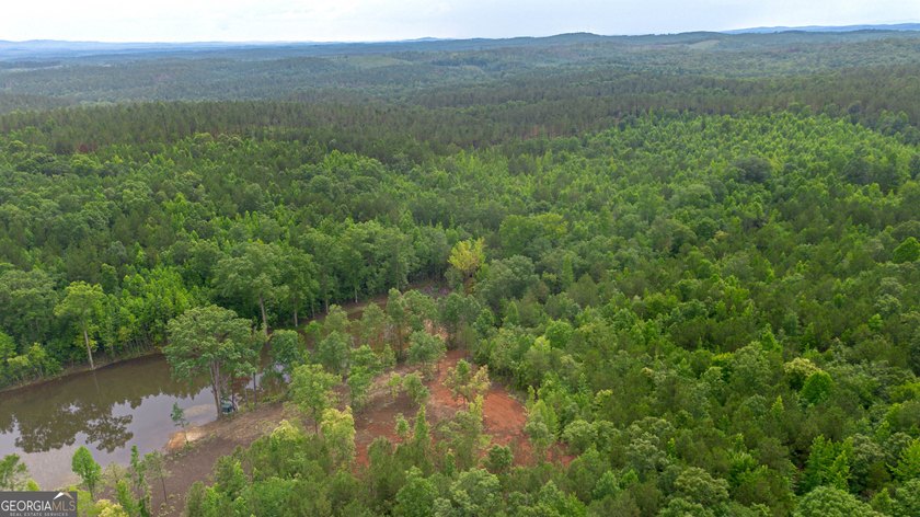 Getting lost in the woods sounds a lot better when you own all - photo 13