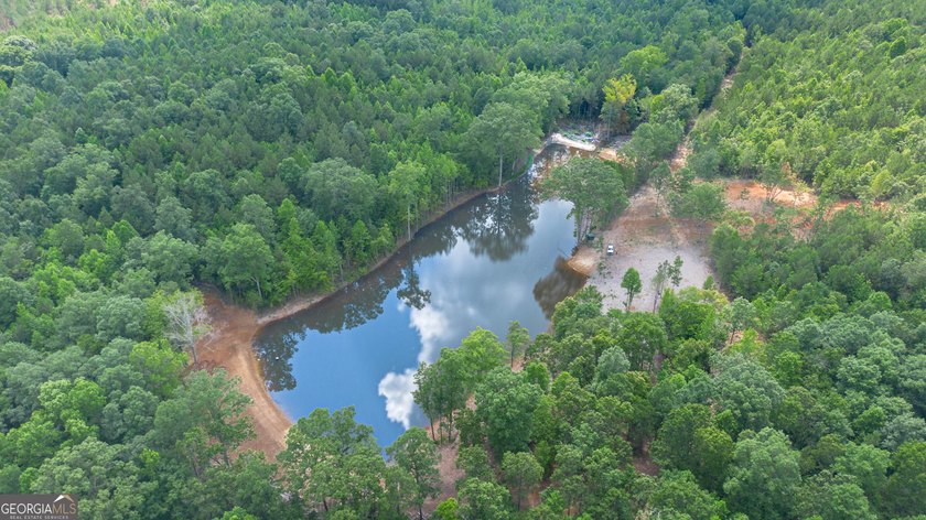 Getting lost in the woods sounds a lot better when you own all - photo 15