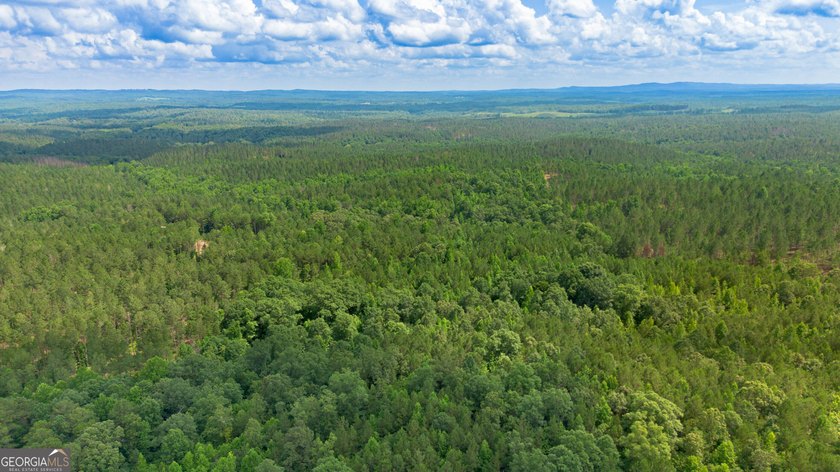 Getting lost in the woods sounds a lot better when you own all - photo 16