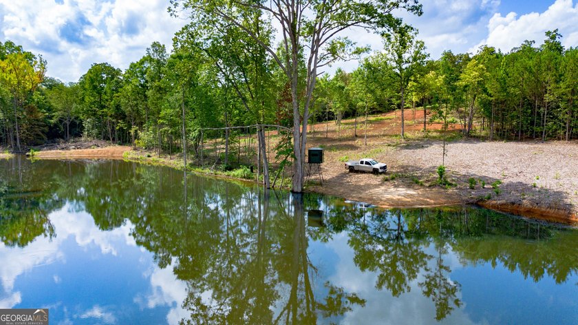 Getting lost in the woods sounds a lot better when you own all - photo 20