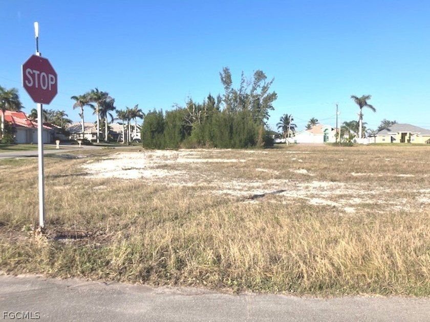 LOCATION! Oversized! CLEARED! Corner lot in a neighborhood of - photo 4