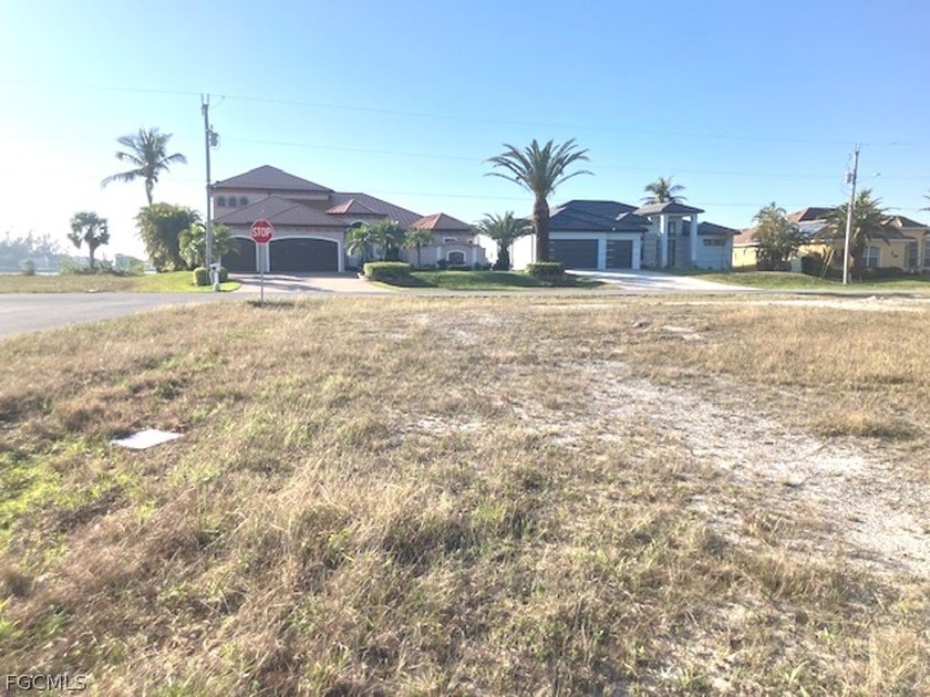 LOCATION! Oversized! CLEARED! Corner lot in a neighborhood of - photo 5