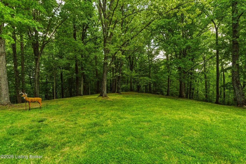 Battletown, KY 9.9 acres with wooded land and deer stand - photo 32