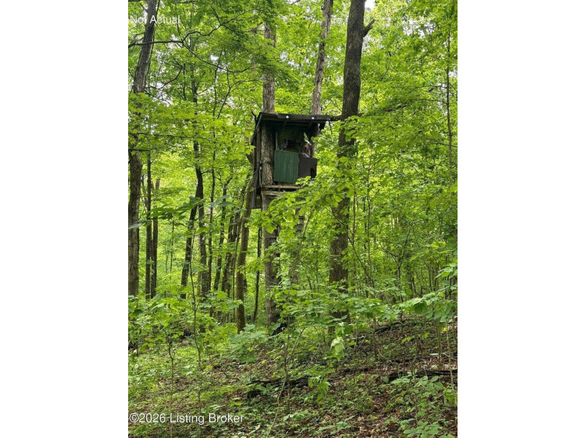 Battletown, KY 9.9 acres with wooded land and deer stand - photo 37