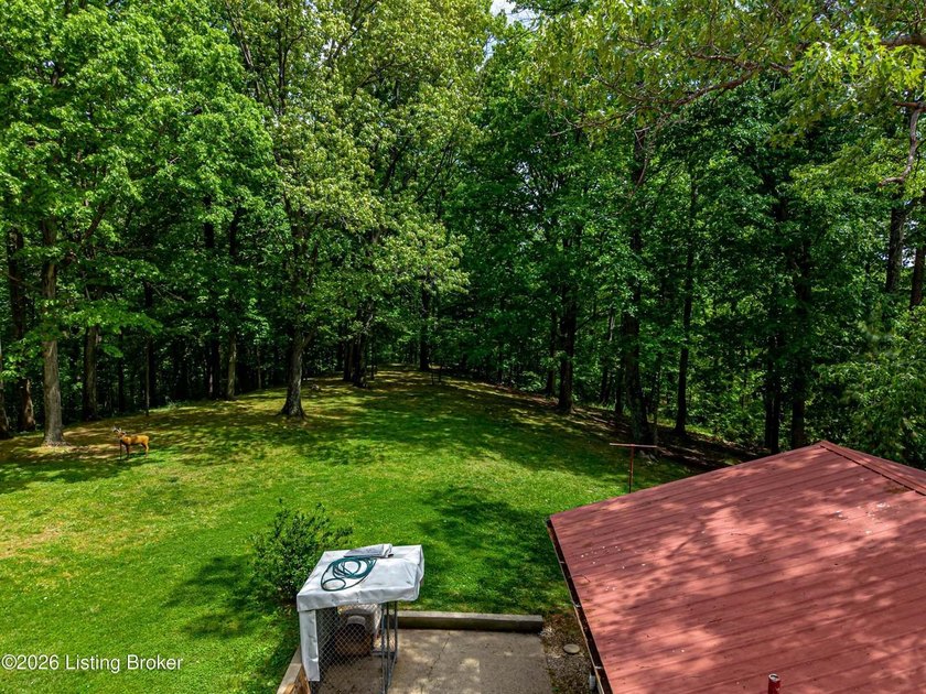 Battletown, KY 9.9 acres with wooded land and deer stand - photo 38