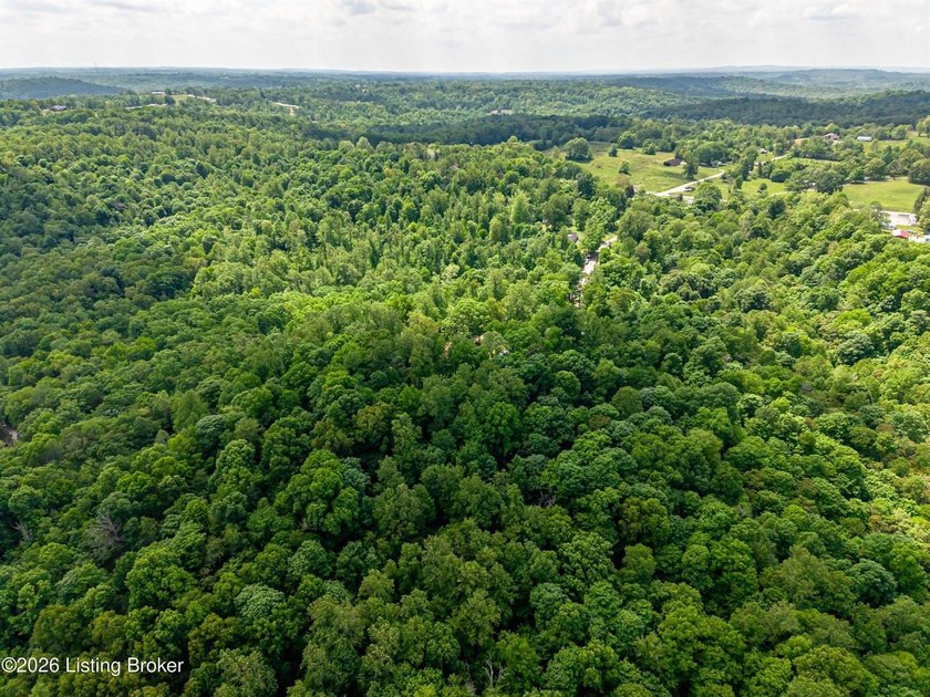 Battletown, KY 9.9 acres with wooded land and deer stand - photo 41