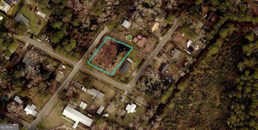 38 acre corner lot, cleared, in the city limits but feels like - photo 4