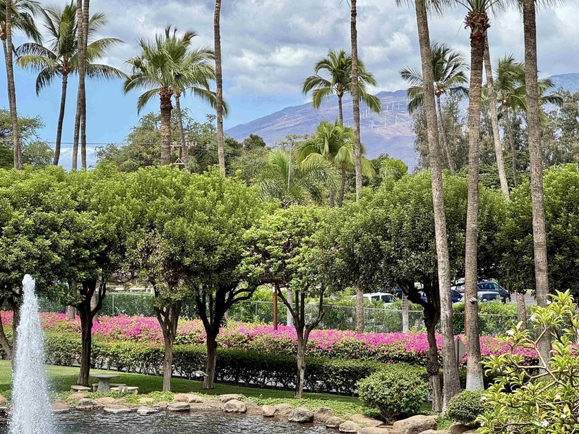 Welcome to your Maui getaway at Kamaole Sands, Building 10! This - photo 3