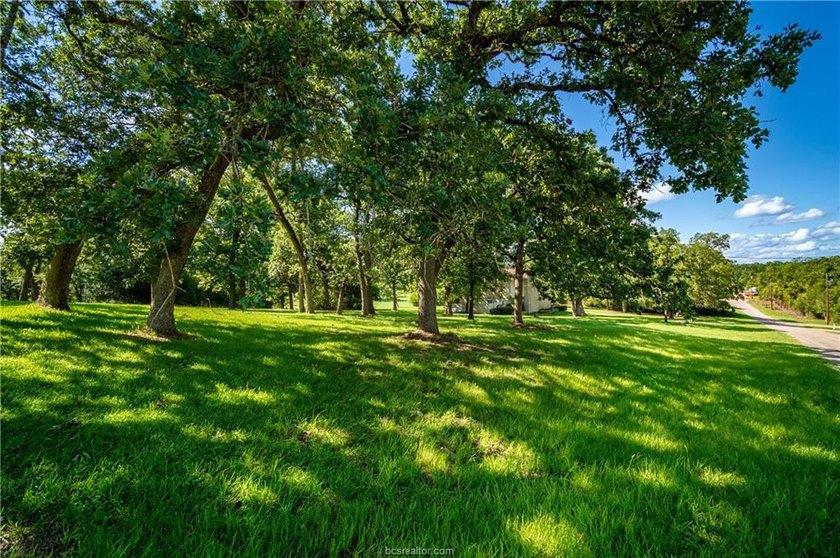 Life is simply more fun when you live on the golf course - photo 8