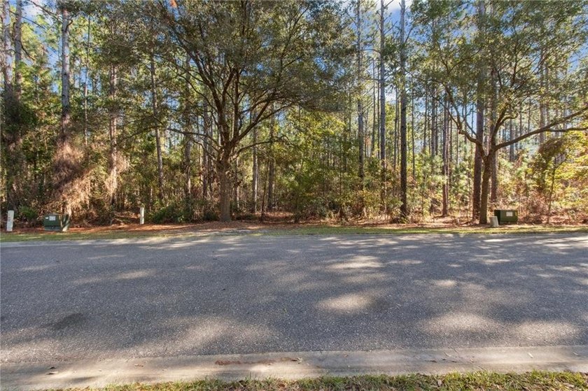 Nestled within the prestigious gated community of Cumberland - photo 13