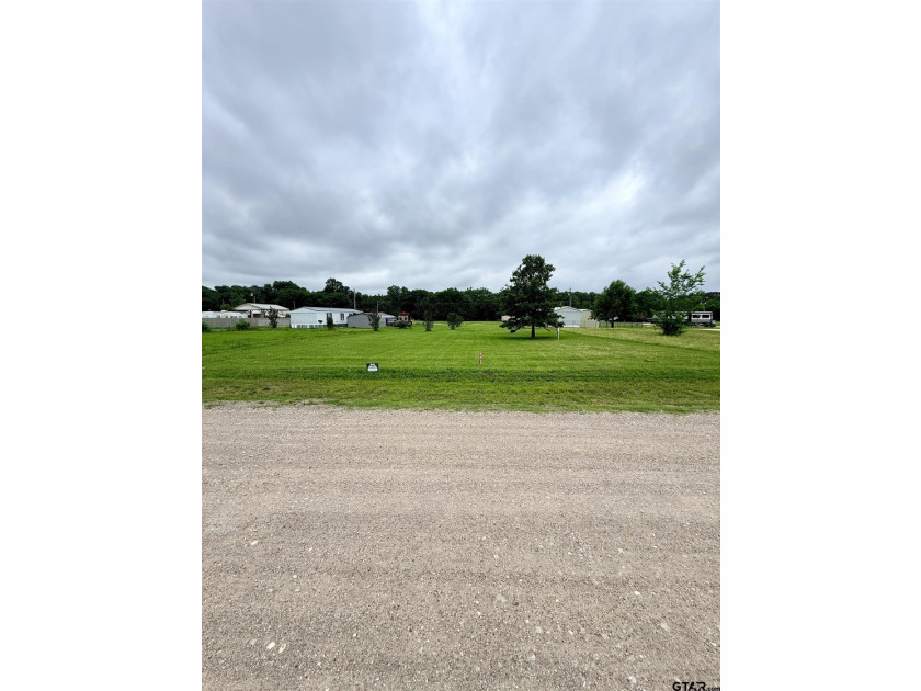 Two spacious lots in the gated Holiday Villages community in - photo 3