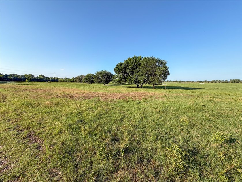 Rarely does a ranch of this caliber come to market. This 192+/- - photo 37