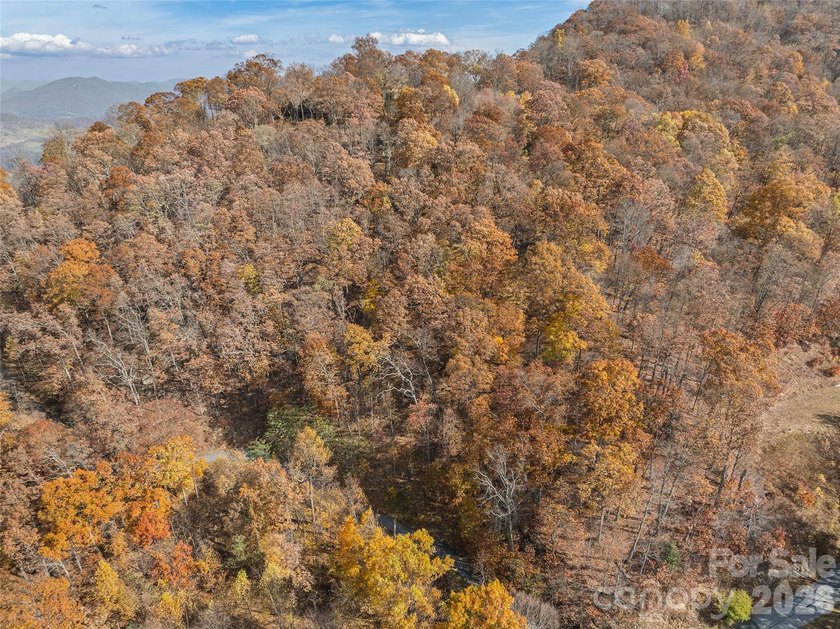Discover a rare opportunity to build your dream mountain estate - photo 11