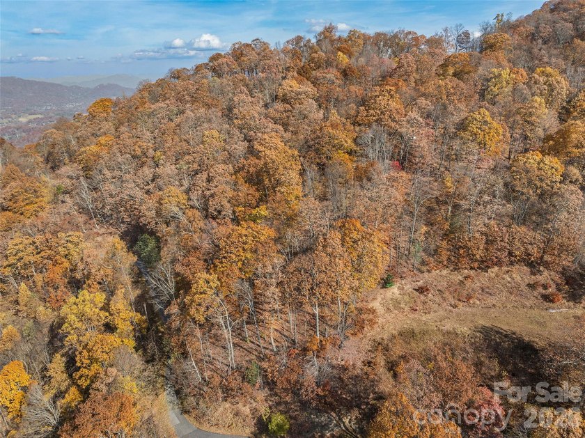Discover a rare opportunity to build your dream mountain estate - photo 12