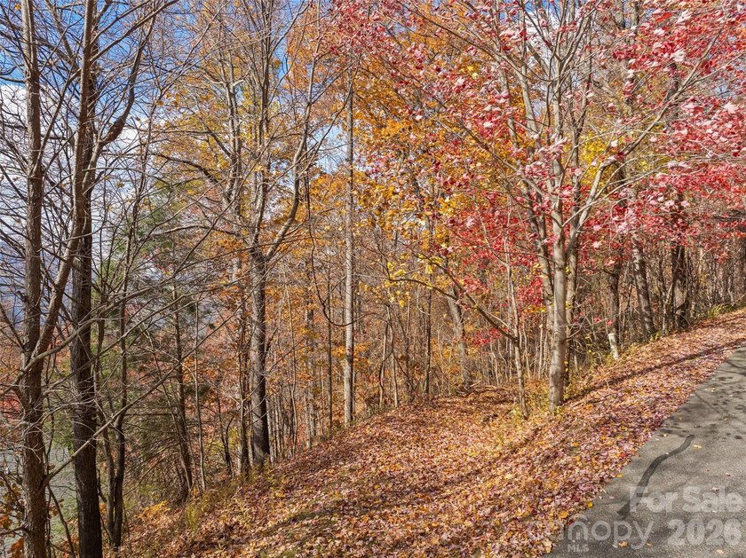 Discover a rare opportunity to build your dream mountain estate - photo 26