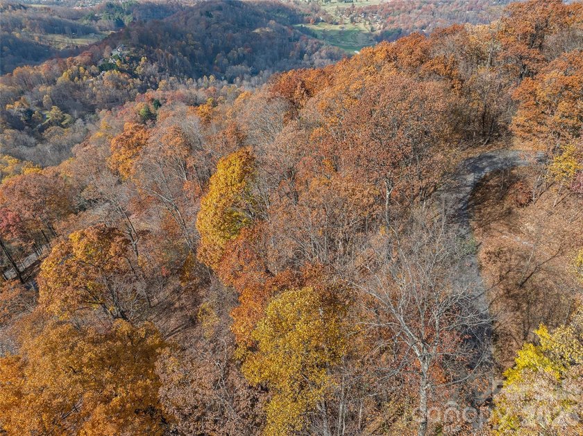 Discover a rare opportunity to build your dream mountain estate - photo 27